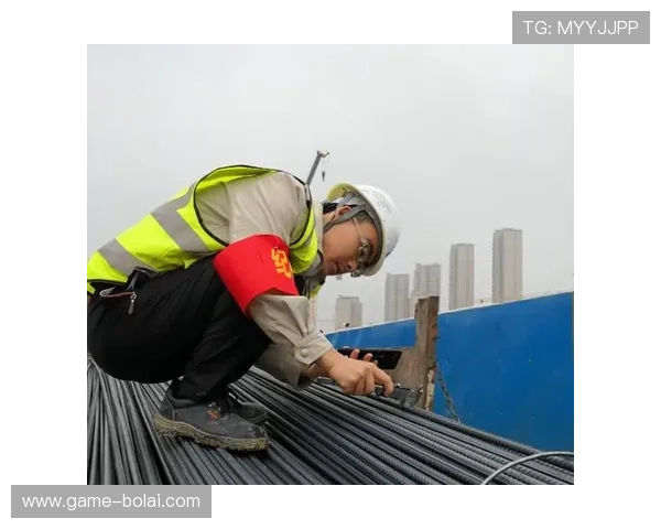 百家le：引领数字时代文化创新的先锋力量，开启未来新篇章